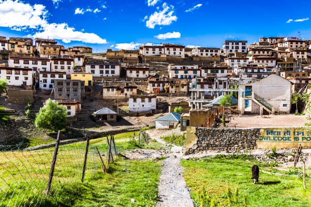 Spiti Friends  Tour Package 04 Night 05 Days From Shimla