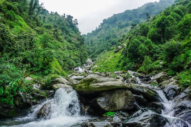 Gangtok