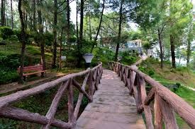 6 Nights 7 days   Kasauli  Shimla Chail  Friends tour