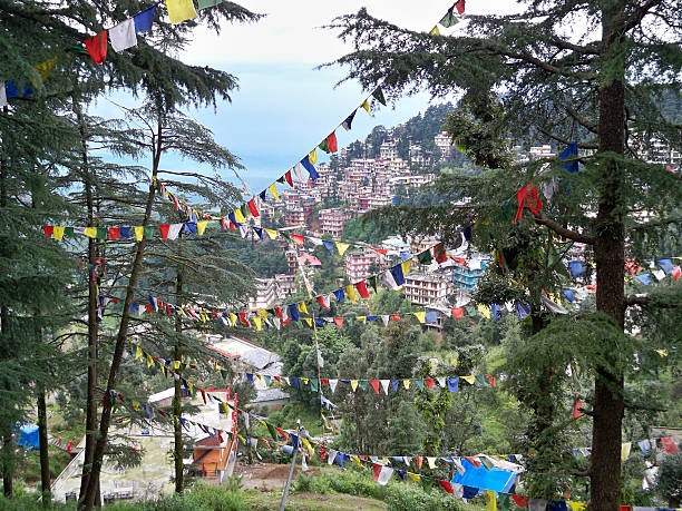 Dharmshala Dalhousie Holiday Plan For Couple  3-night, 4-day