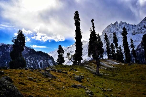 pahalgam Holiday Plan For Family 05 Night 06 days