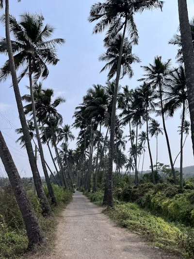 Goa