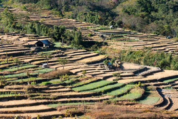 Dharamsala