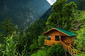 Shimla Jibhi Kasol Package For 8 Nights 9 Days