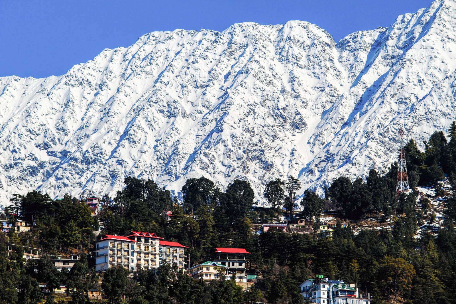 Dharmshala   Tour Package From Gurgaon 4 Nights 5 Days