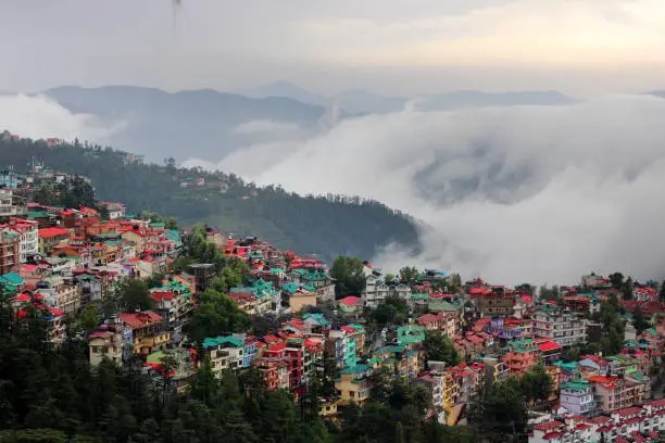 Shimla