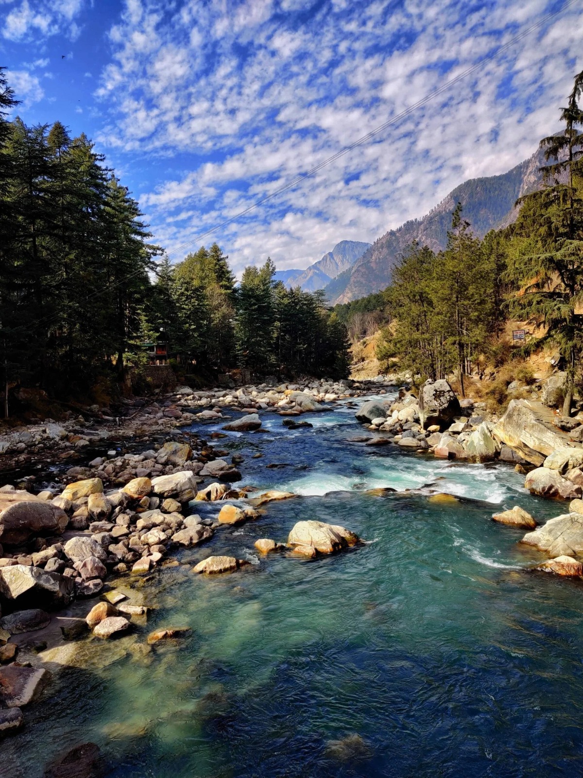 Shimla Jibhi Kasol  Manali    Package For 6  Nights 7 Days