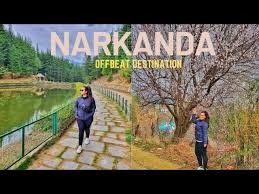 Narkanda  Spiti  Manali package for couple