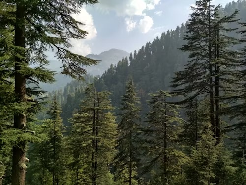 Himalayan Exploration:  Jibhi, Tirthan Valley, Shangarh and Janjehli Holiday Tour