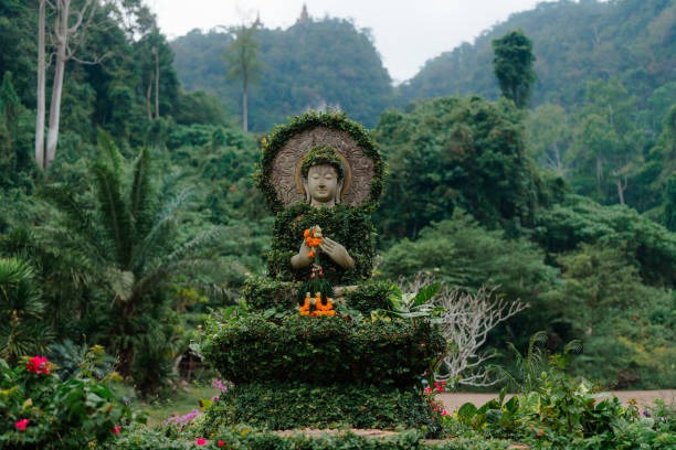 Krabi's Sacred Sites: A Comprehensive Temple Tour