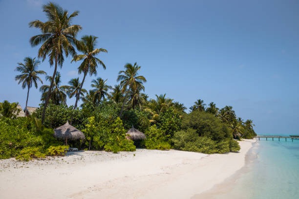 Medhufushi Island Resort Maldives Package: 7 Days of Paradise