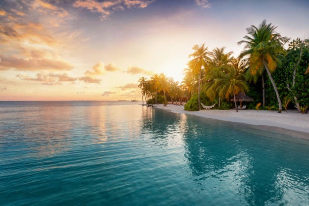 Maldives 8 Nights, 9 Days  Package