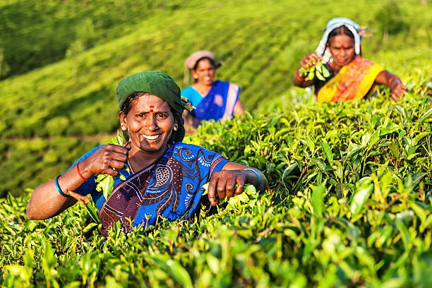 Munnar