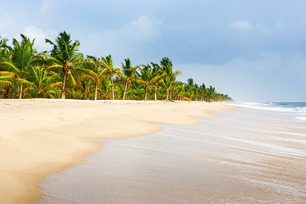 1 Night 2 Days Kerala Tour Packages