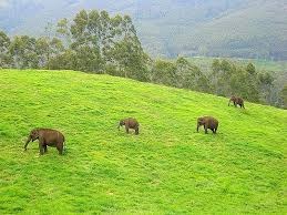 Munnar