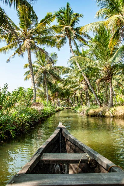 Kerala  Family Tour Packages