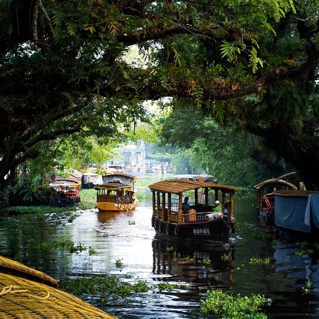 Kerala  Family Tour Packages for 6 Night 7 Days