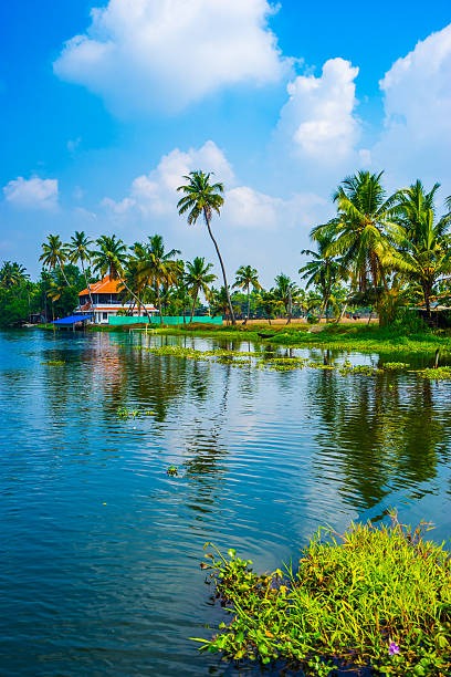 Explore Kerala: A Journey Through Nature and Heritage