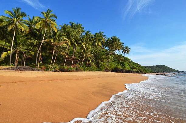 9 Night 10 Days  Goa Tour Packages