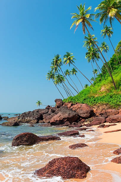 Goa Family Tour Packages for 02 Night 03 Days