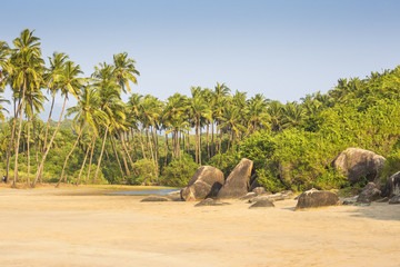 North Goa Adventure: 5 Days of Sun, Fun, and Vibrant Beaches