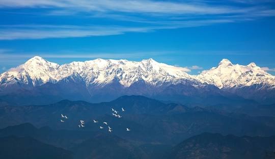 Binsar  Bageshwar Almora tour package 5 Nights 6 Days