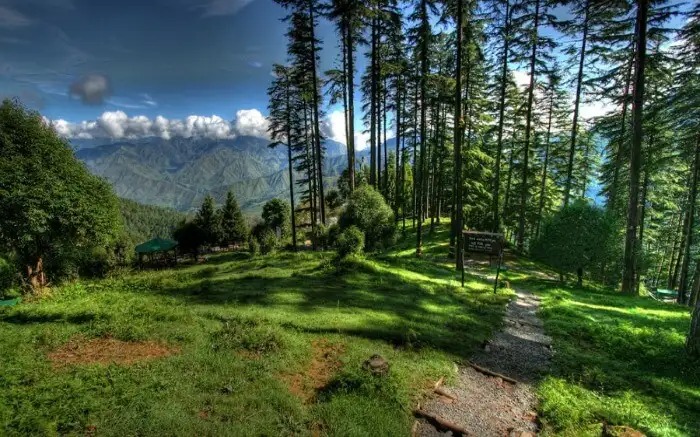 Auli  Chopta  Dehradun  Dhanaulti  Joshimath  Mussoorie  Rishikesh tour package for 8 Nights 9 Days