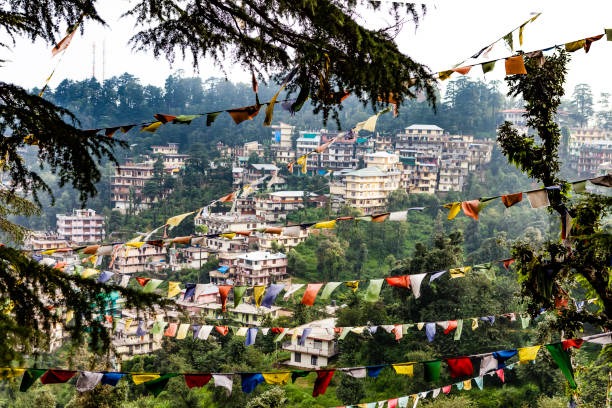 Himachal Odyssey: 9 Nights and 10 Days of Scenic Wonders