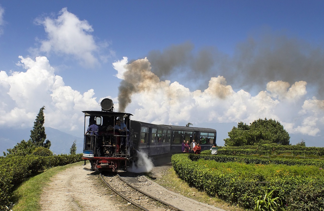 Darjeeling Diaries: A Journey Through the Himalayan Charm