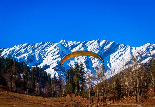 Discover the Beauty of Manali: 5 Nights 6 Days of Enchantment