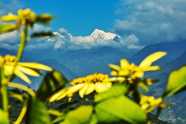 Enchanting Darjeeling: A 5-Day Himalayan Escape