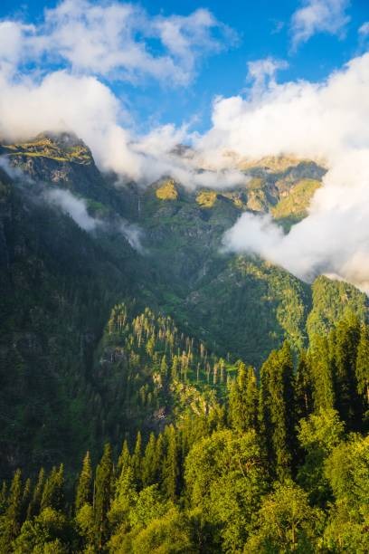 Kasol