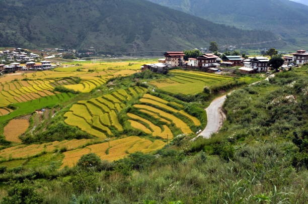 Gangtok