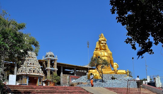 Trincomalee  Kandy Nuwara Eliya Yala  tour package for 6 Nights 7 Days