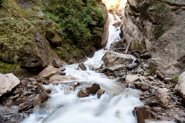 Blessings of the Divine: A Journey Through Himachal