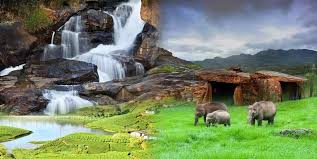 Munnar Tour Package 3 Night 4 Days