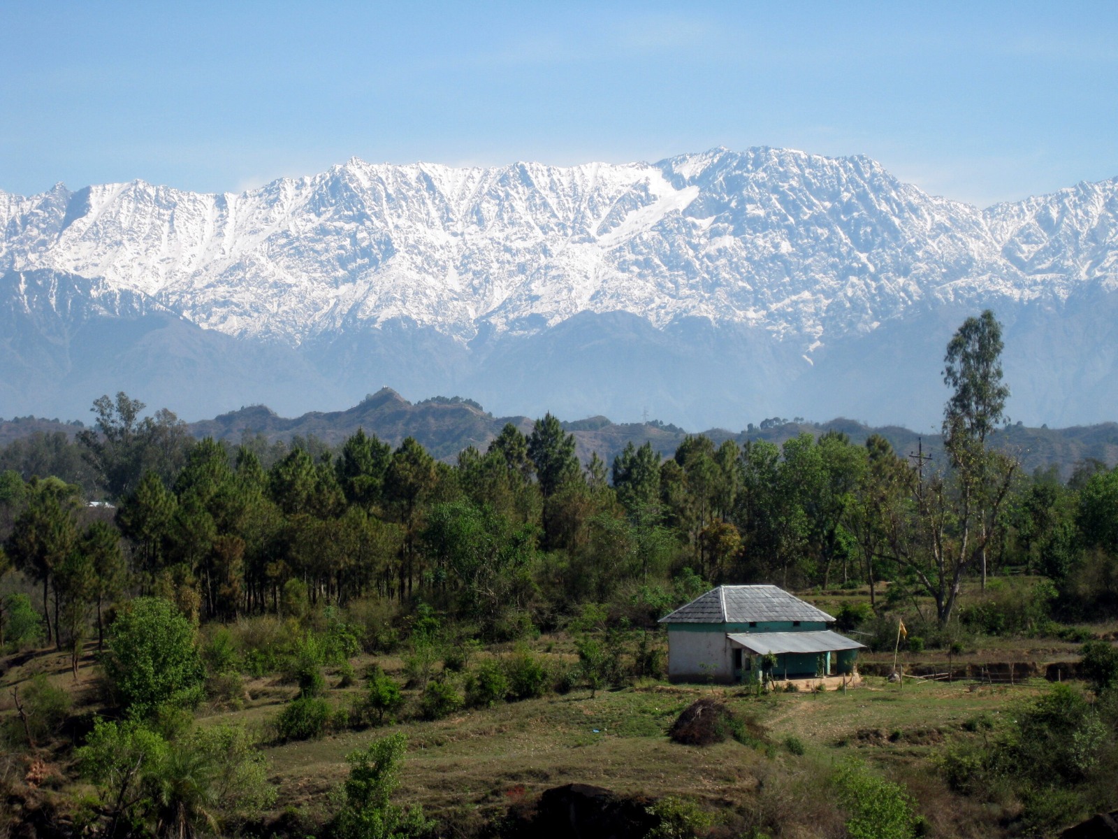 Dharamshala Bir Billing Palampur tour package for 7 Nights 8 Days