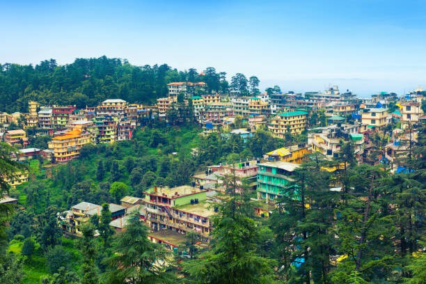 7 Night  8 Days Tour Packages  Shimla, Manali, Dharmshala, and Dalhousie