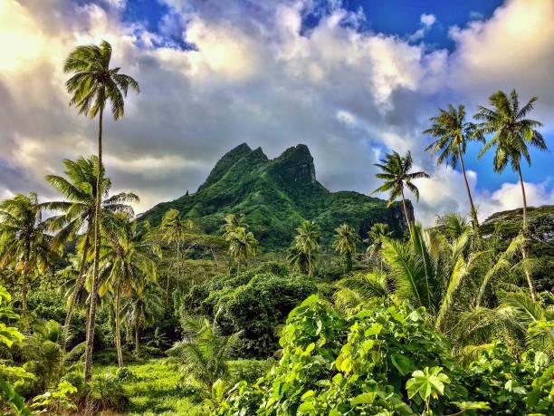 Paradise Awaits: A 10-Day Tahiti Adventure