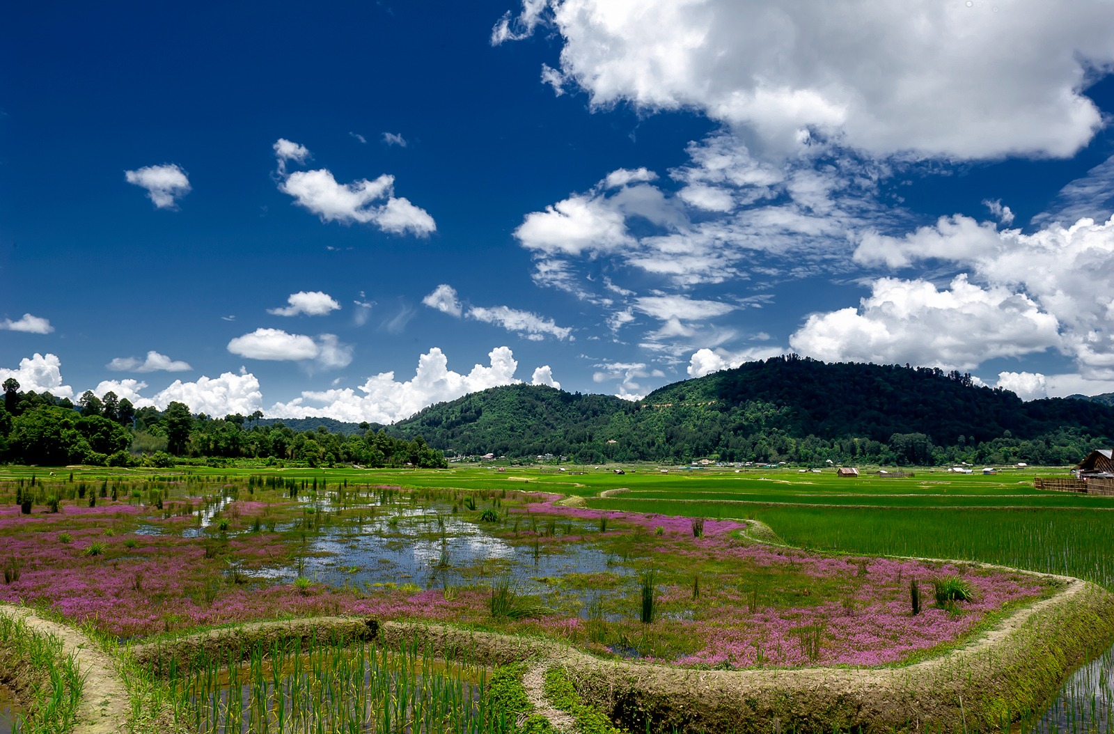 Itanagar Ziro tour package for 3 Nights 4 Days