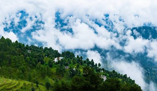 Binsar tour package for 3 Nights 4 Days