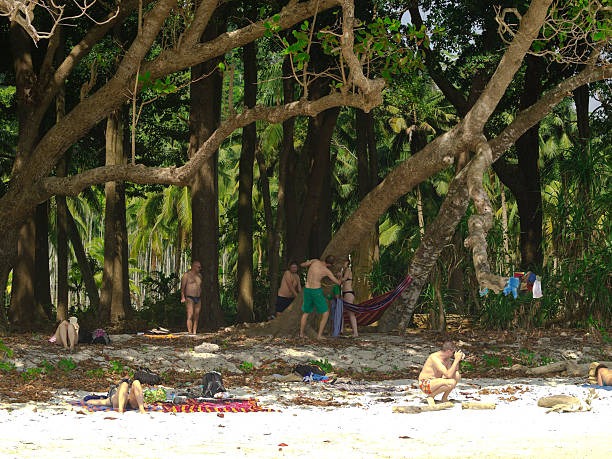 Elephant Beach