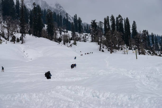 Manali Honeymoon Special Package (8 Days /  7 Nights)