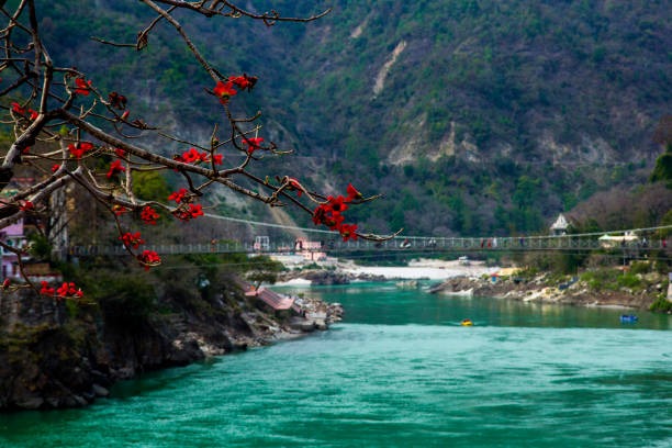 Rishikesh