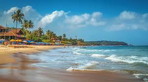 Sun, Sand, and Spice: The Magic of Goa