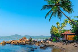 The Essence of Goa: Beaches, Culture, and Adventure