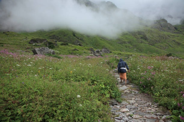 Valley of Flowers Escape: 5 Nights, 6 Days of Scenic Beauty and Adventure