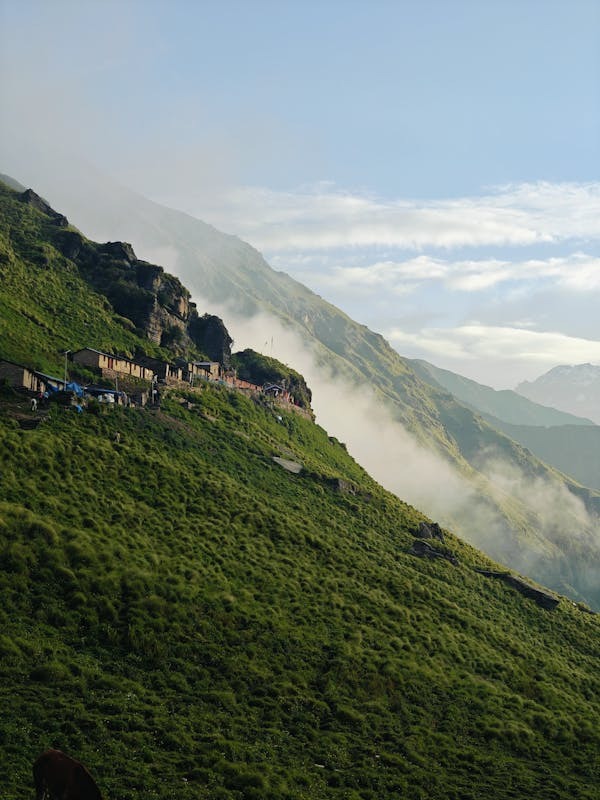 Valley of Flowers Getaway: 4 Nights, 5 Days of Natural Beauty