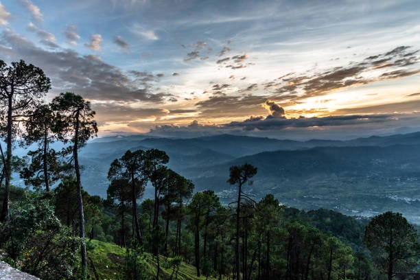 Valley of Flowers Express Tour: 3 Nights, 4 Days of Nature and Adventure