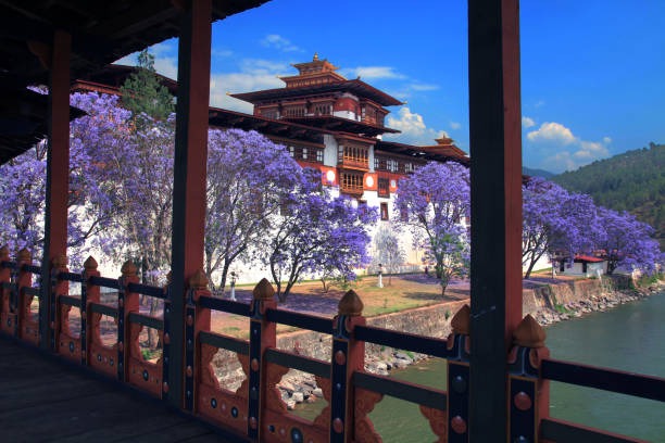 Enchanting Bhutan: A 8-Night Exploration
